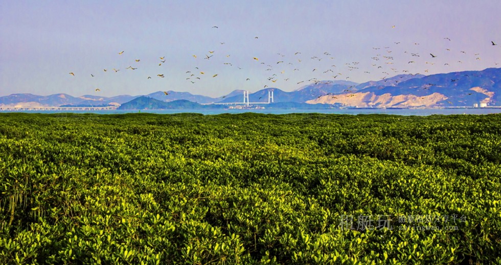 廈門(mén)五緣灣帆船港游艇租賃