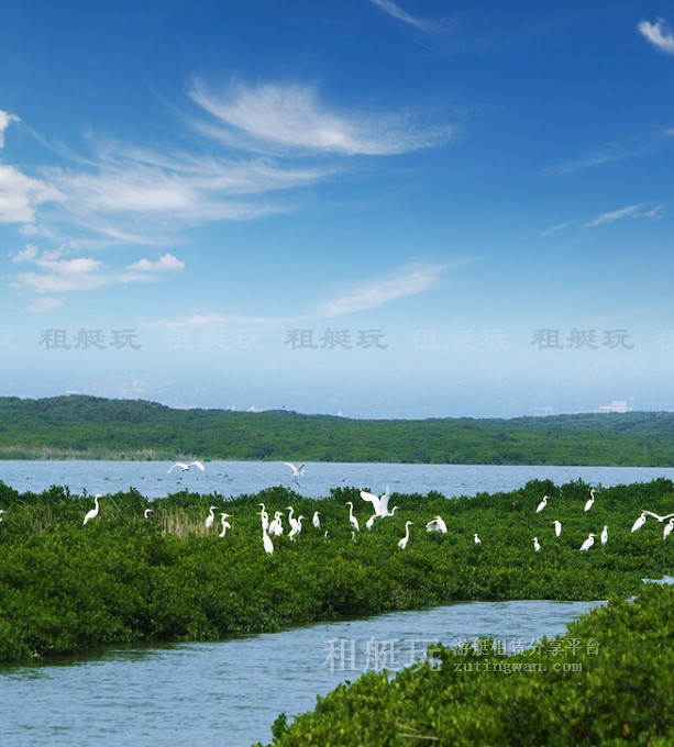 廈門(mén)五緣灣帆船港游艇租賃