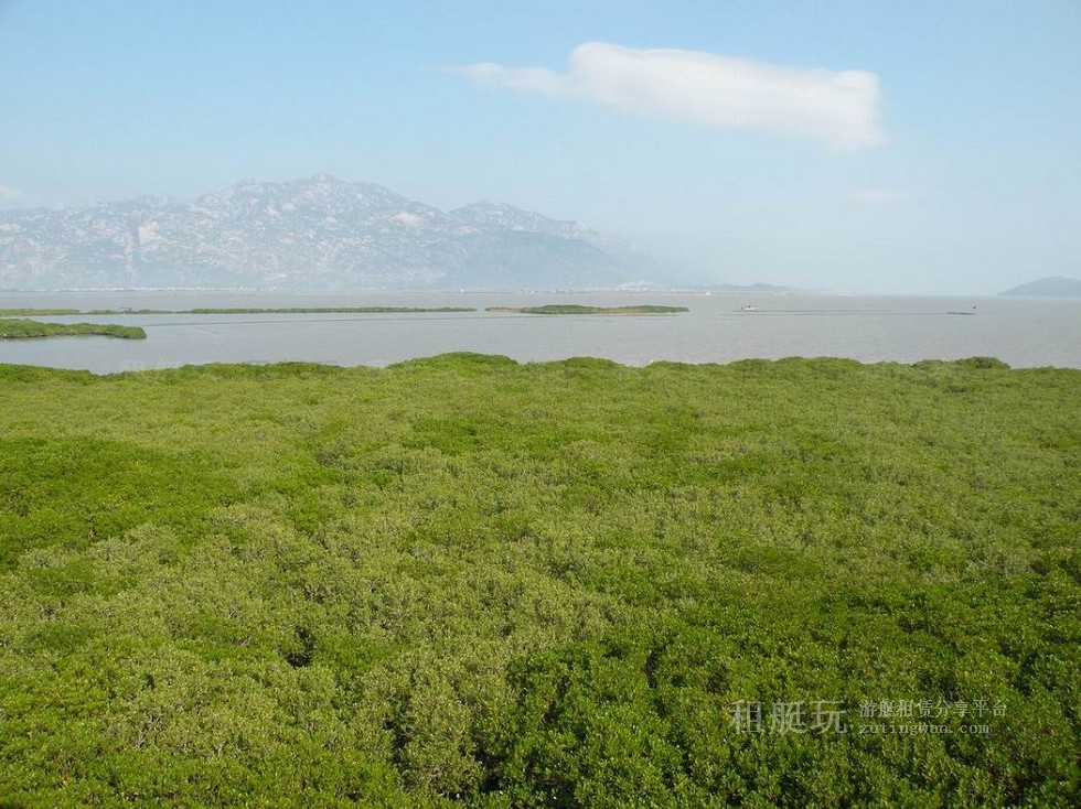 廈門(mén)五緣灣帆船港游艇租賃